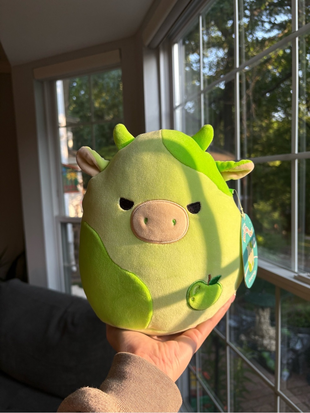 Honeycrisp the green apple 🍏 cow squishmallow NWT 8in First to market FTM